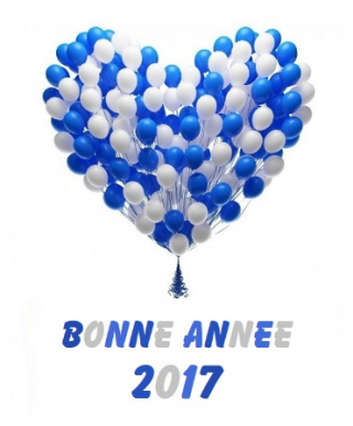 Excellente année 2017