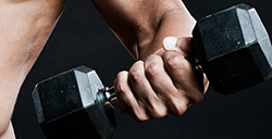 Musculation Roncq